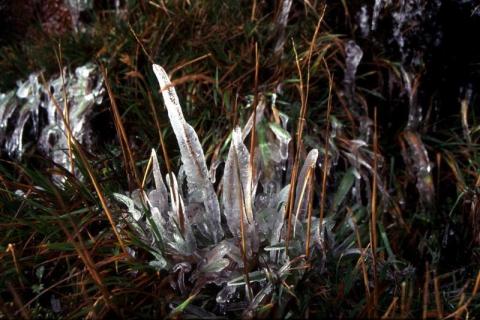 Ice