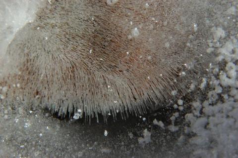 Ice