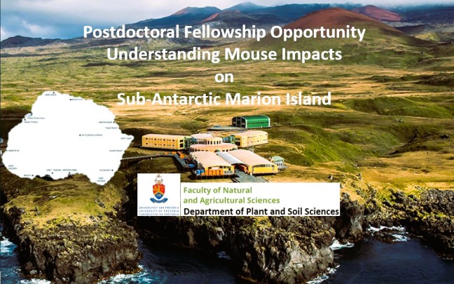 Postdoctoral Fellowship – Understanding Mouse Impacts on Sub-Antarctic Marion Island